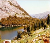 Montana1988  051